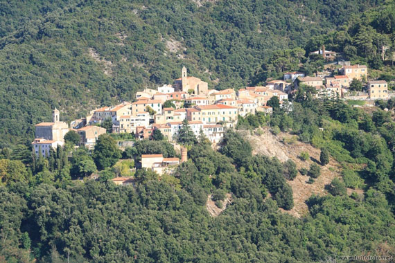 castagnata-elba