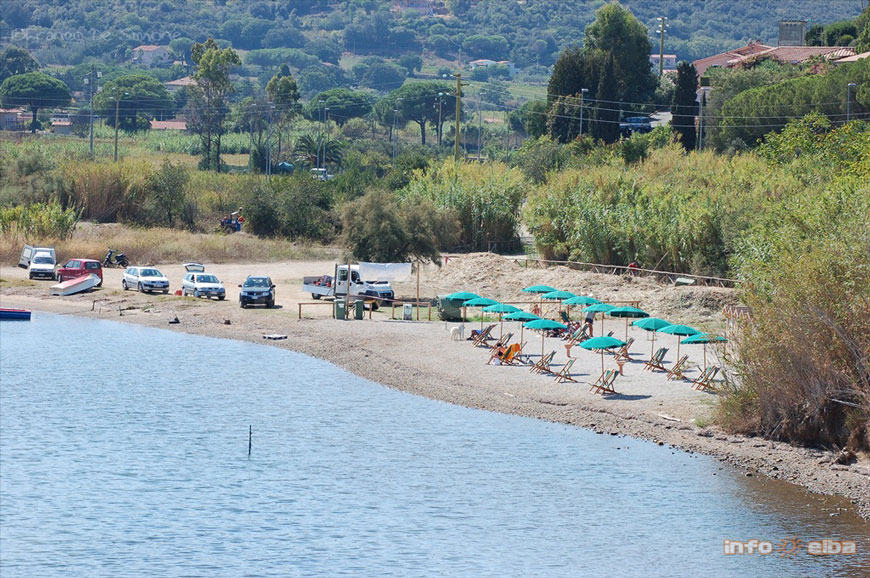 Spiagge dog welcome