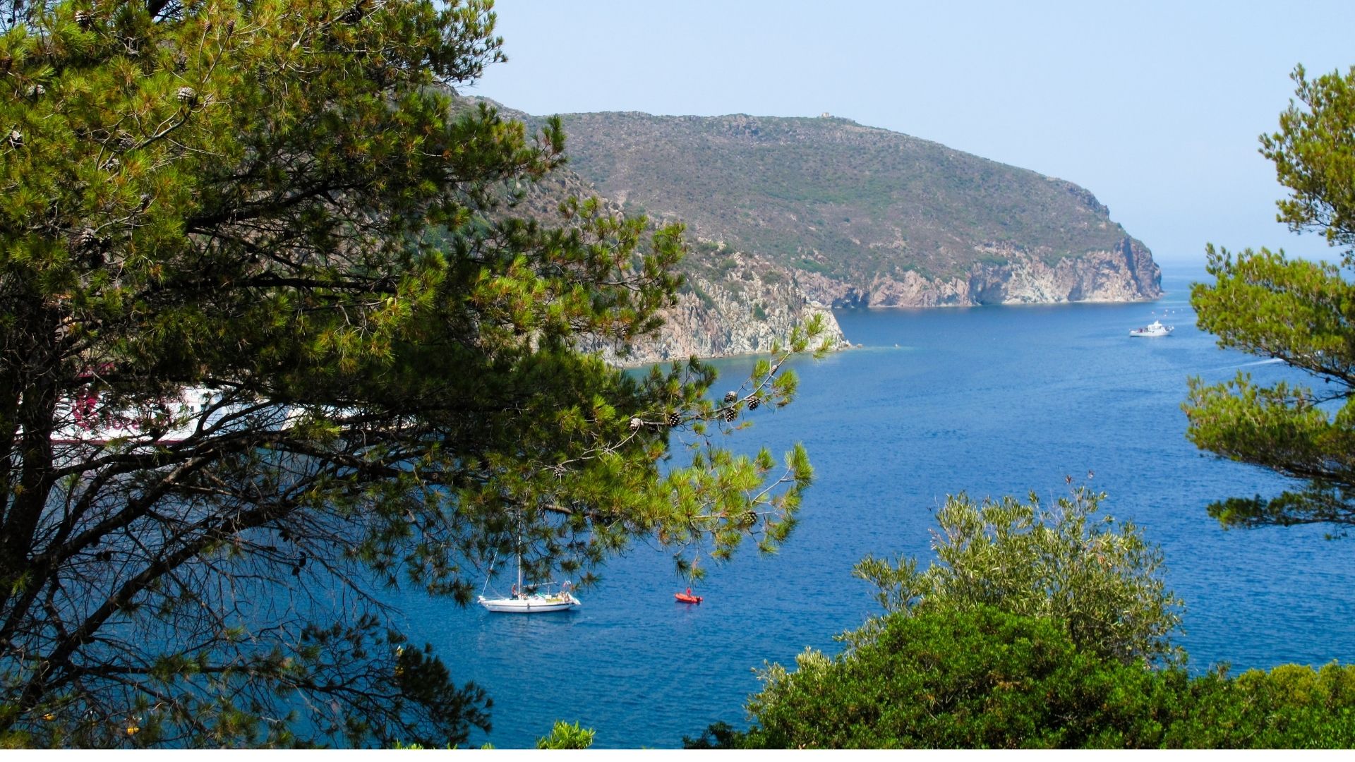 Escursioni Isola di Capraia