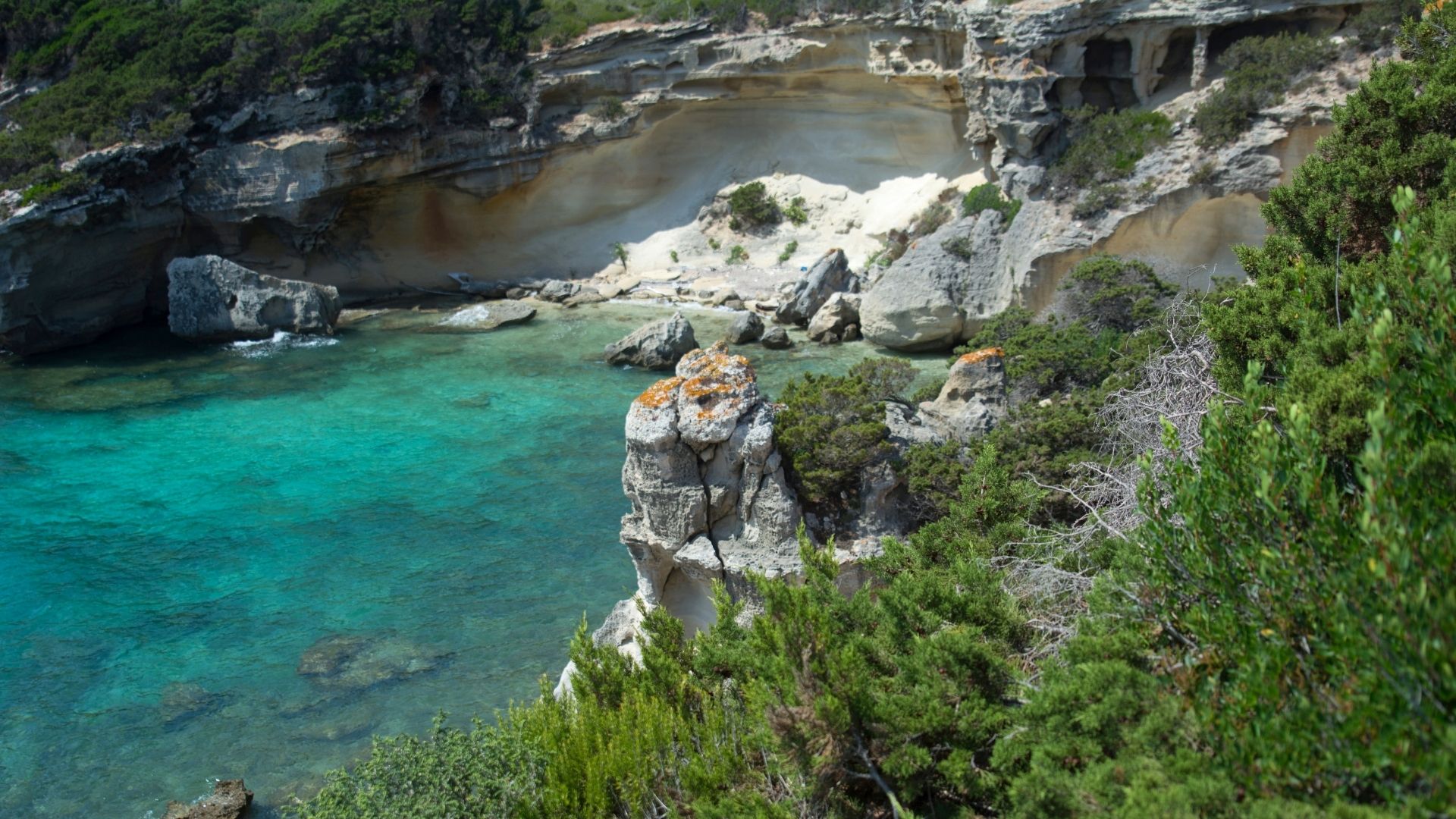 Escursioni Isola di Pianosa